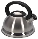 Чайник Regent Inox со свистком 2,5л 93-TEA-27