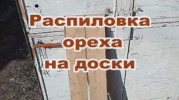 Пилю орех на доски. При помощи вертикально фрезерного станка.
